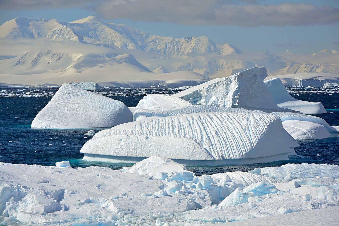 Antarktis; antarktische Halbinsel bei Port Charcot; Schnee bedeckte Berge; Eisberge treiben vor der Küste