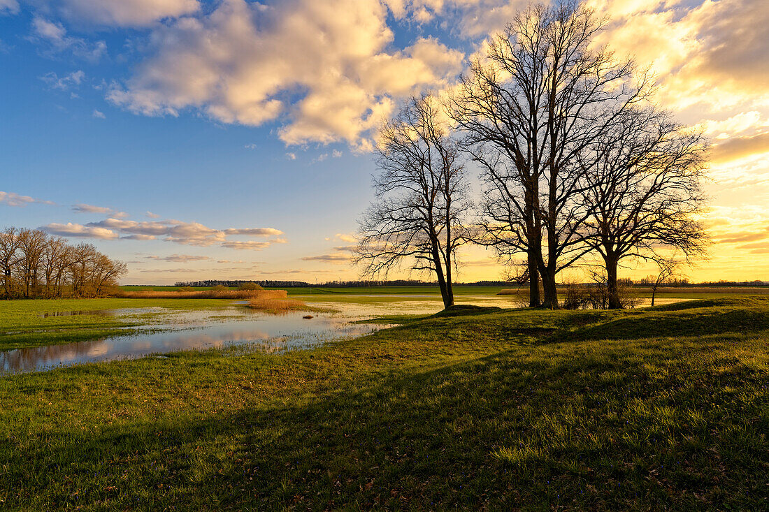 Evening atmosphere in the NSG Sulzheimer Gipshügel, Schweinfurt district, Lower Franconia, Bavaria, Germany