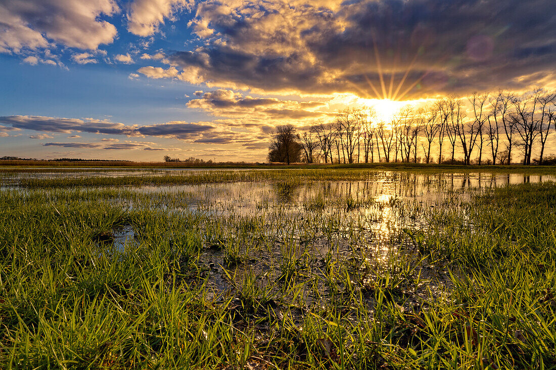 Evening atmosphere in the NSG Sulzheimer Gipshügel, Schweinfurt district, Lower Franconia, Bavaria, Germany