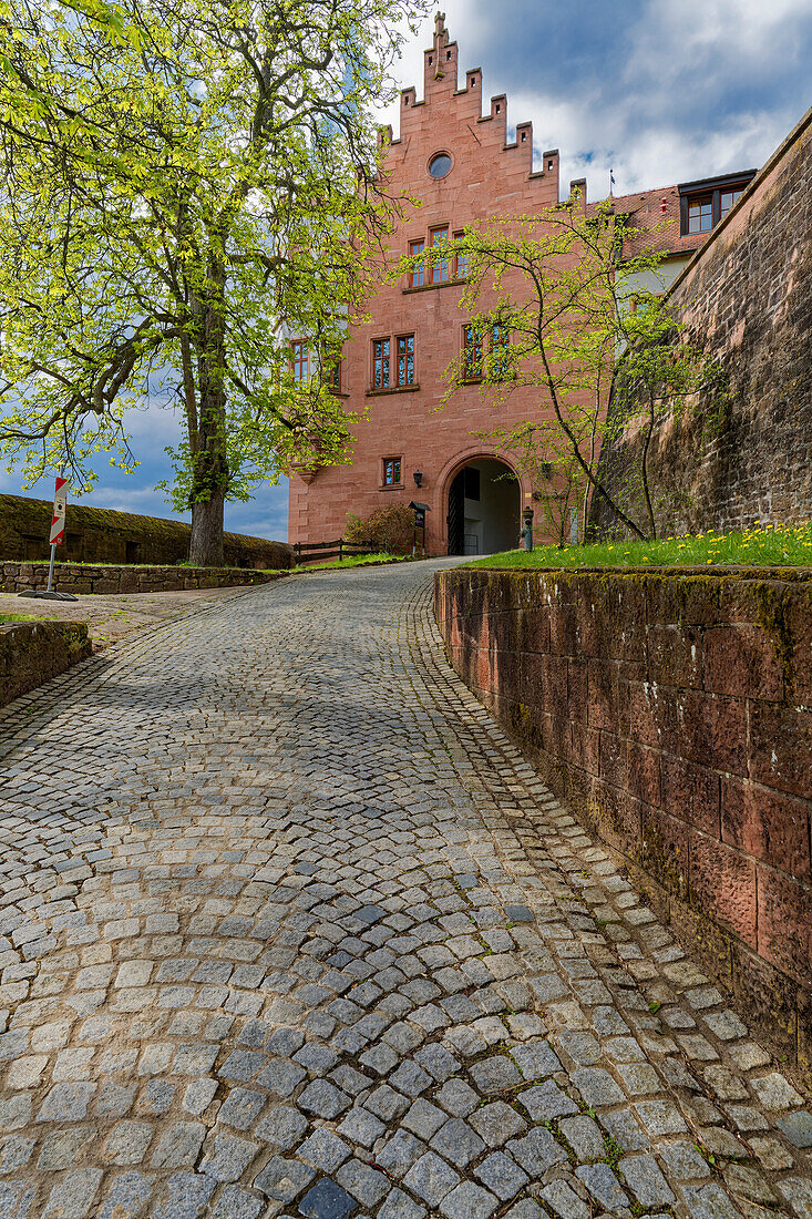 Rieneck Castle in the town of Rieneck im Sinntal, Main-Spessart district, Lower Franconia, Franconia, Bavaria, Germany