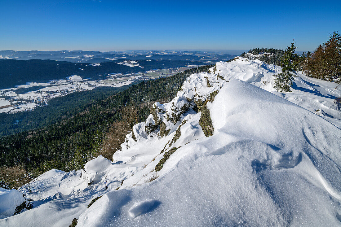 Snowy ridge of the Kaitersberg, Bavarian Forest, Lower Bavaria, Bavaria, Germany