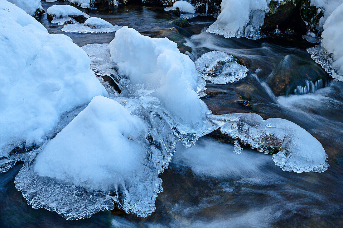 Ice figures in the creek, Schwellbach, Großer Arber, Bavarian Forest, Lower Bavaria, Bavaria, Germany