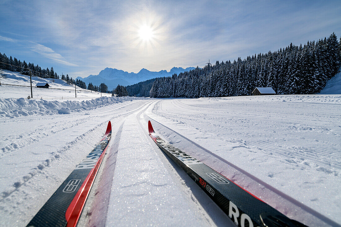 Cross-country skis on the Klais trail, Werdenfels, Upper Bavaria, Bavaria, Germany