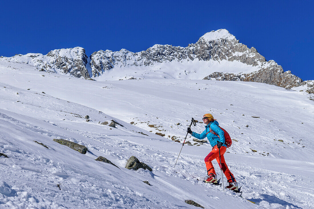 Woman on ski tour climbs to Roßkarscharte, Sichelkopf in the background, Zittau Hut, Hohe Tauern National Park, Zillertal Alps, Tyrol, Austria