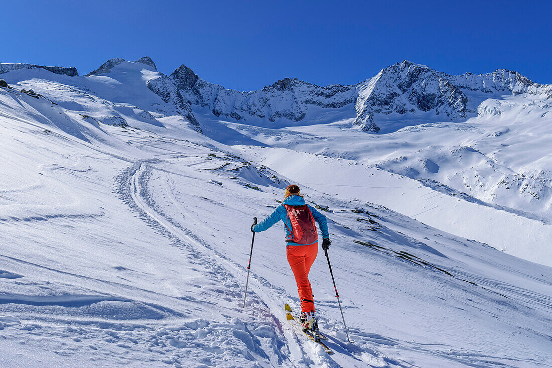 Frau auf Skitour steigt zur Roßkarscharte auf, Gabler und Reichenspitze im Hintergrund, Zittauer Hütte, Nationalpark Hohe Tauern, Zillertaler Alpen, Tirol, Österreich