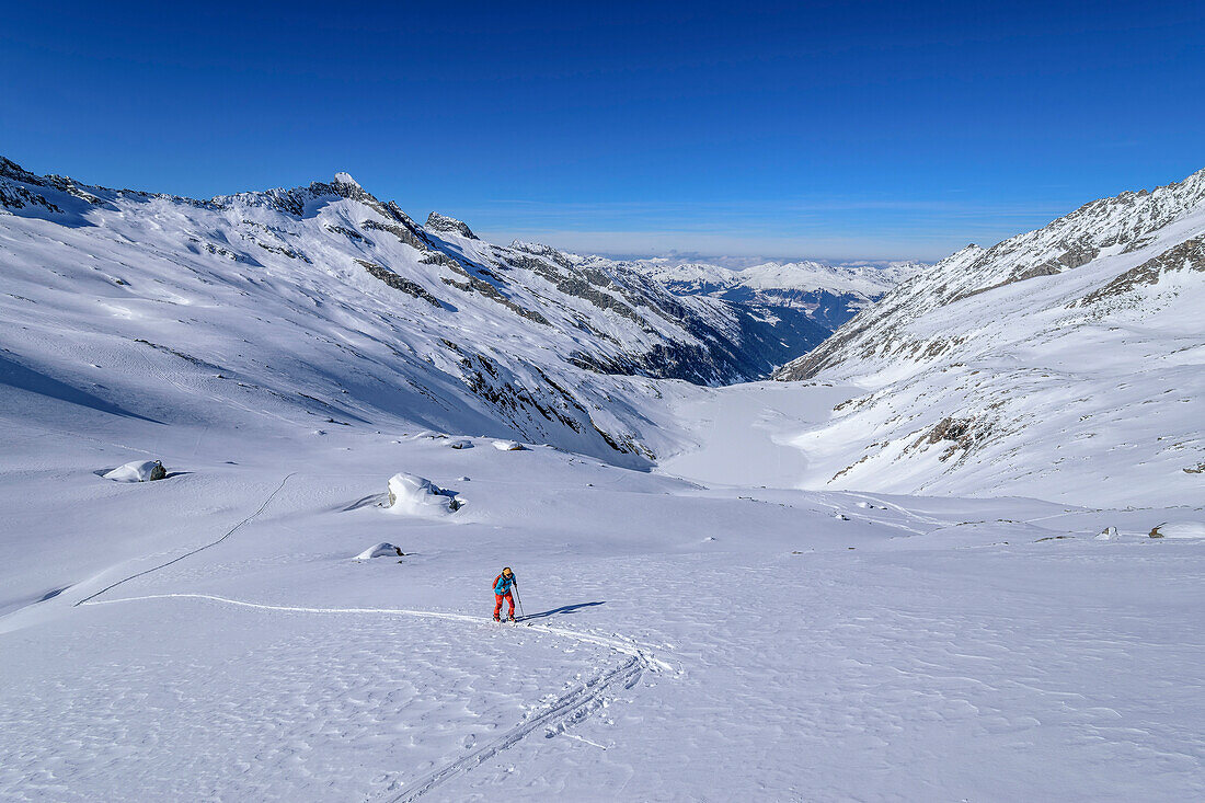 Woman on ski tour climbs to Roßkarscharte, Sichelkopf in the background, Zittau Hut, Hohe Tauern National Park, Zillertal Alps, Tyrol, Austria