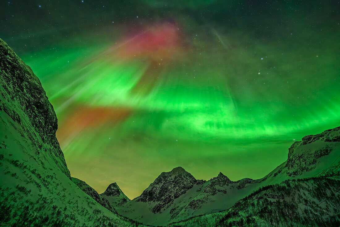 Green and red northern lights over the mountains, Bergsbotn, Senja, Troms og Finnmark, Norway