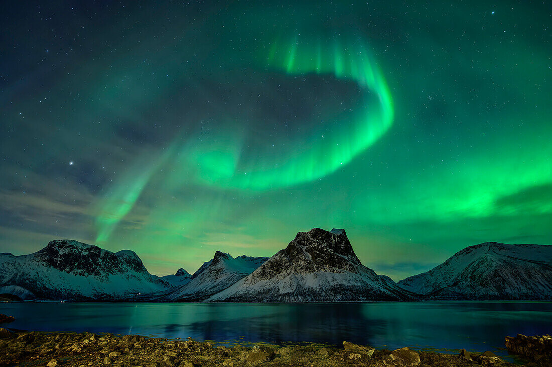 Northern lights over the Nordfjord, Bergsbotn, Senja, Troms og Finnmark, Norway