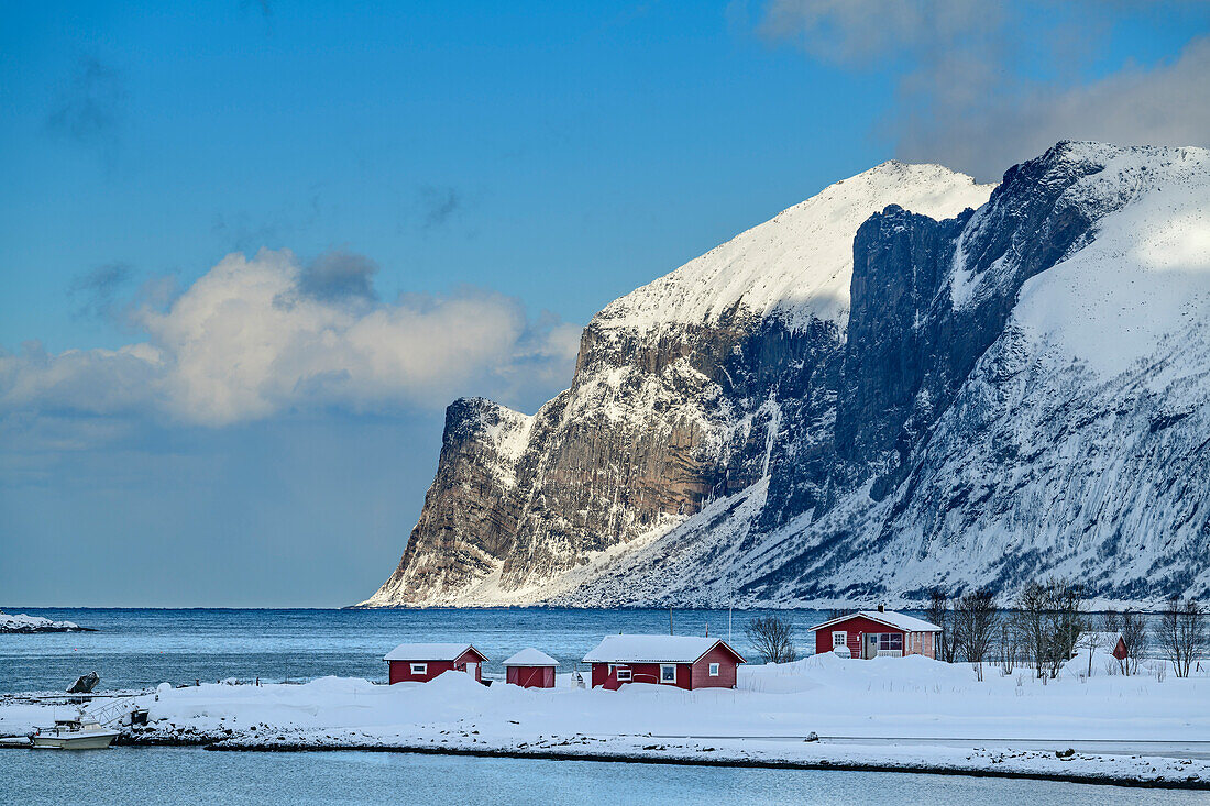 Verschneite rote Häuser mit Fjord und Berge im Hintergrund, Grashopen, Senja, Troms og Finnmark, Norwegen