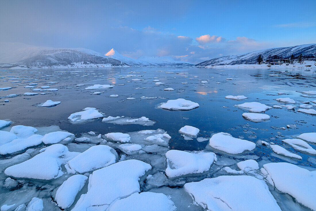 Eisschollen treiben im Stonesbotnfjord, Senja, Troms og Finnmark, Norwegen