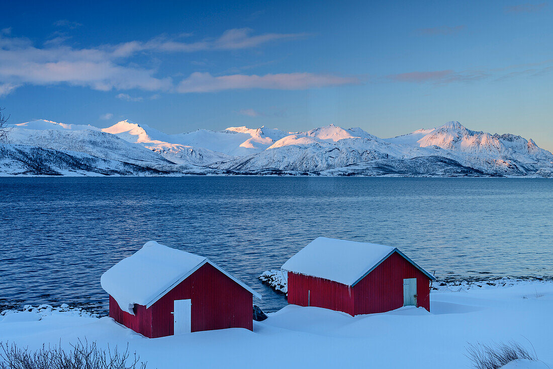 Two snow-covered red houses at Nordfjord, Skaland, Senja, Troms og Finnmark, Norway