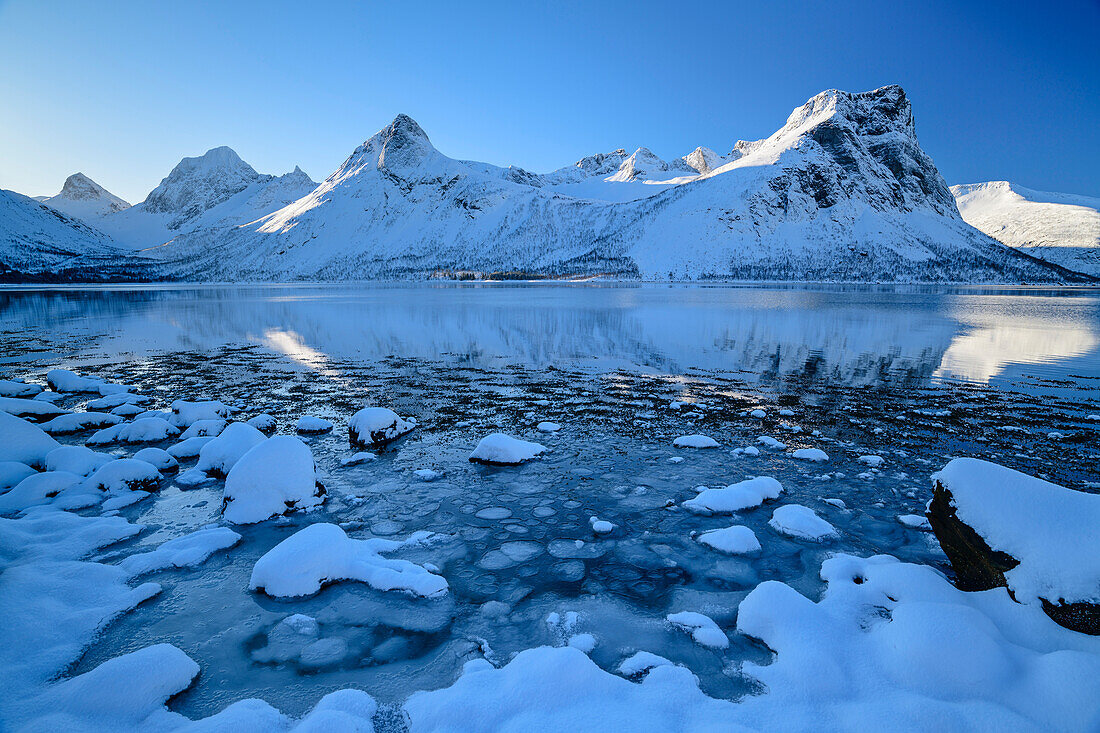 Ice floes drifting in Nordfjord, mountains in background, Skaland, Senja, Troms og Finnmark, Norway