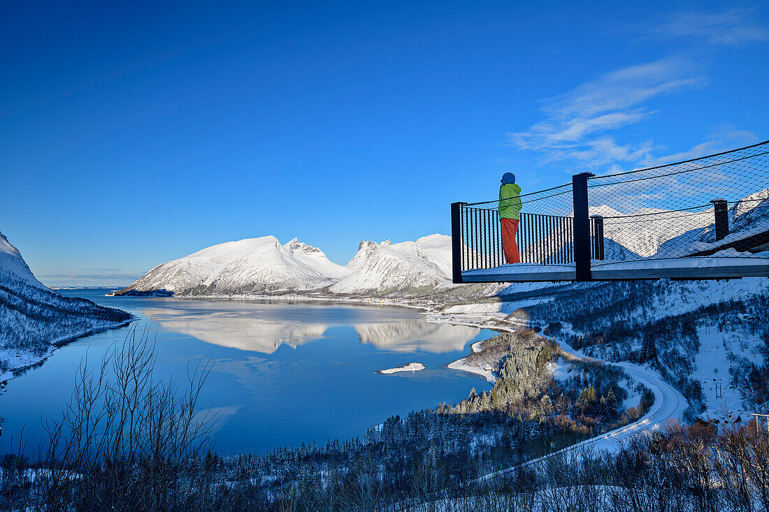 Frau steht auf Aussichtsplattform und blickt auf Nordfjord mit sich spiegelnden Bergen, Bergsbotn, Senja, Troms og Finnmark, Norwegen