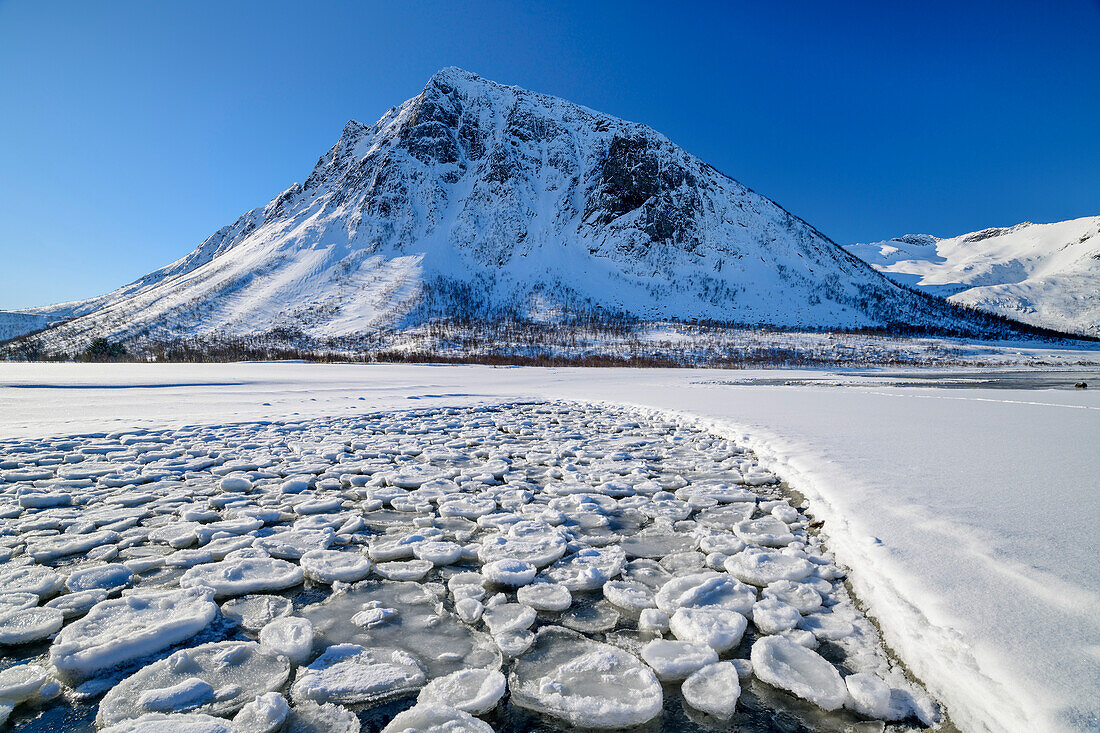 Eisschollen am Strand von Ballesvika, Senja, Troms og Finnmark, Norwegen