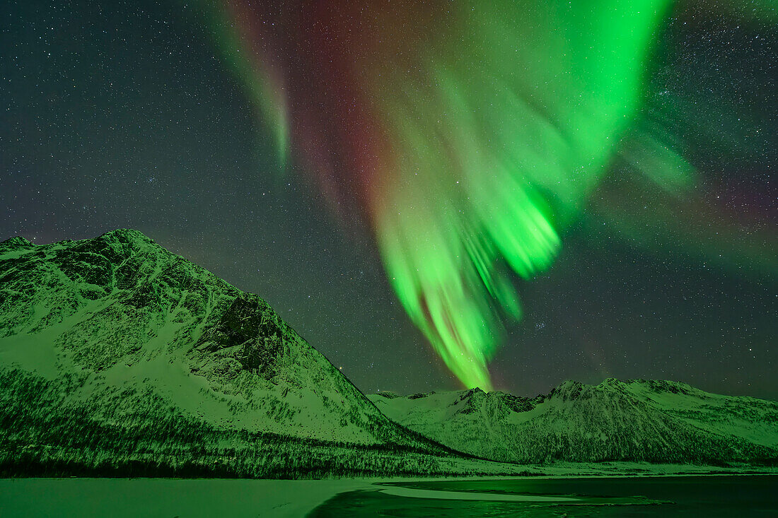 Polarlicht über dem Strand von Ballesvika, Senja, Troms og Finnmark, Norwegen