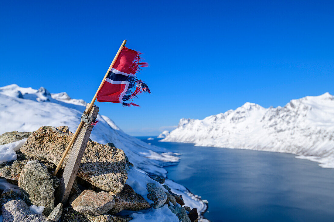 Norwegische Flagge am Gipfel des Nattmalsfjellet mit Ersfjord im Hintergrund, Nattmalsfjellet, Kvaloya, Troms og Finnmark, Norwegen