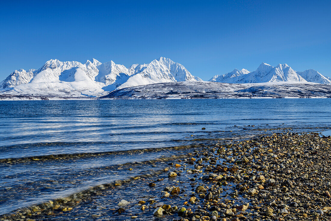 Verschneite Lyngenalpen vom Strand von Oldervik, Oldervik, Troms og Finnmark, Norwegen