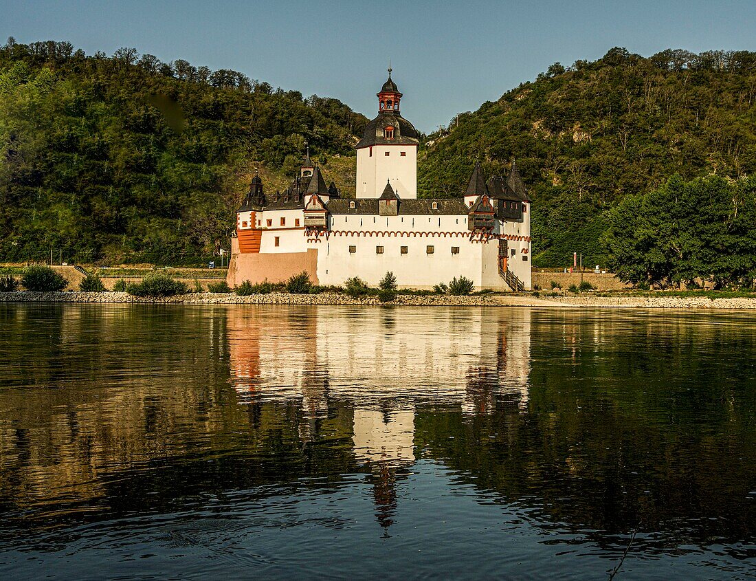 Burg Pfalzgrafenstein im Morgenlicht, Kaub, Oberes Mittelrheintal, Rheinland-Pfalz, Deutschland