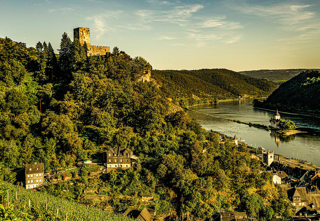 Burg Gutenfels und Inselburg Pfalzgrafenstein im Abendlicht, Kaub, Oberes Mittelrheintal, Rheinland-Pfalz, Deutschland