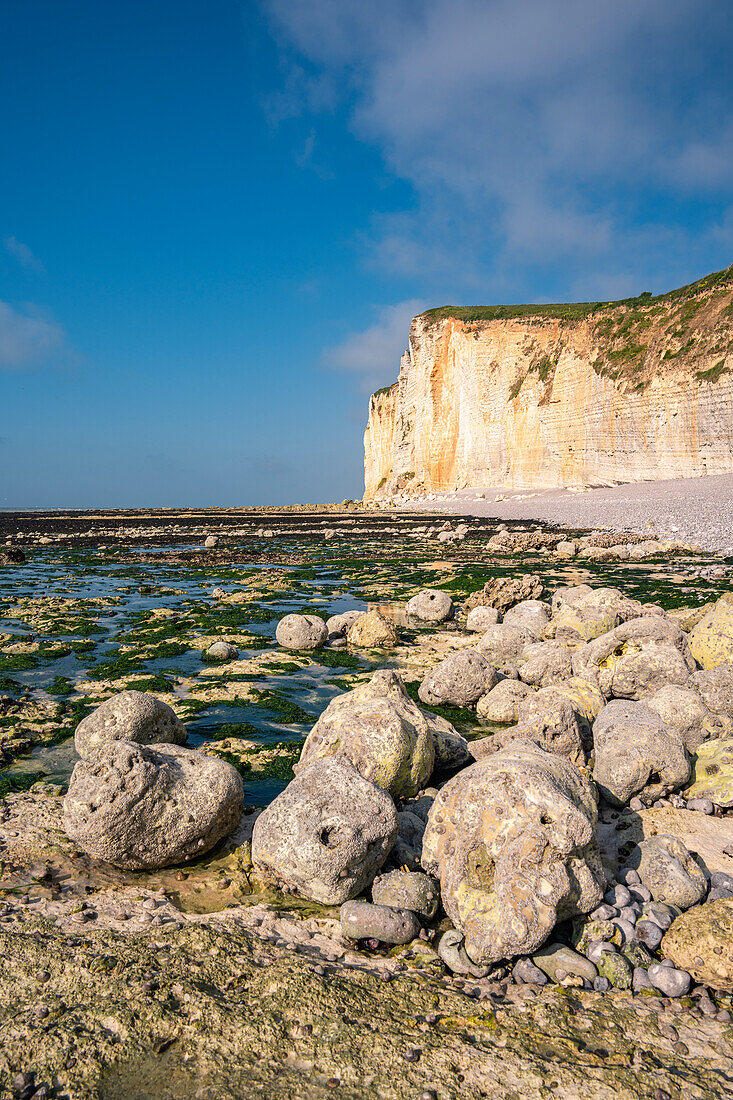 Strand an der Steilküste aus Kreidefelsen in der Normandie, Frankreich