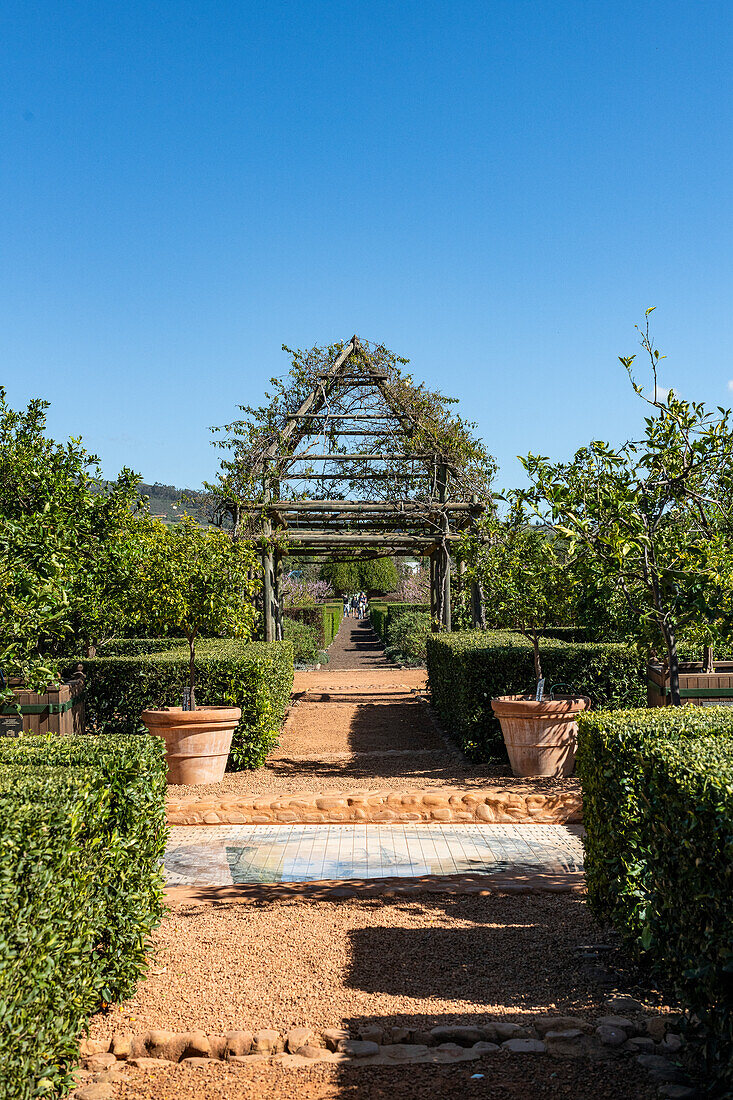 In the garden of Babylonstoren, old farm, wine farm, Franschhoek, Western Cape Province, Stellenbosch, Cape Winelands, South Africa, Africa