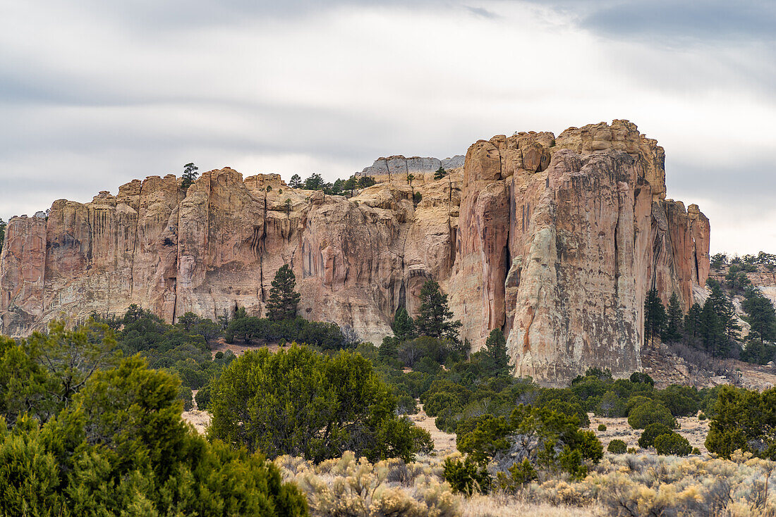 Rote Felsen in der Landschaft von New Mexico, USA