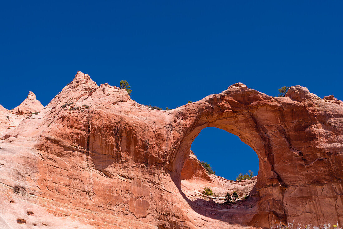 Die Window Rock-Formation, Arizona, USA