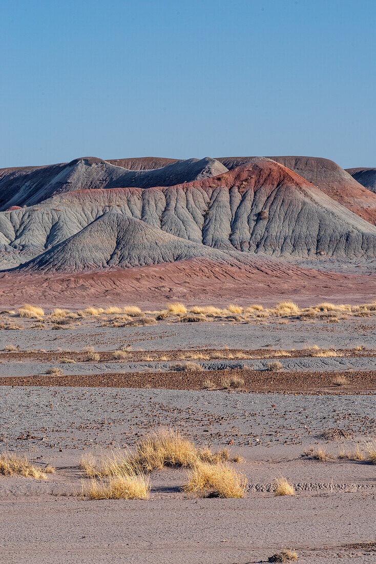 Die Landschaft im Petrified-Forest-Nationalpark in Arizona.