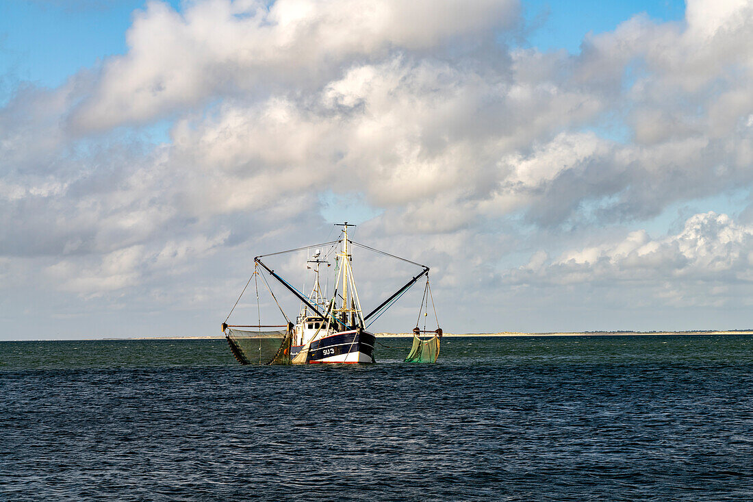 Fishing cutter on the coast of the Ellenbogen near List, Sylt Island, Nordfriesland district, Schleswig-Holstein, Germany, Europe