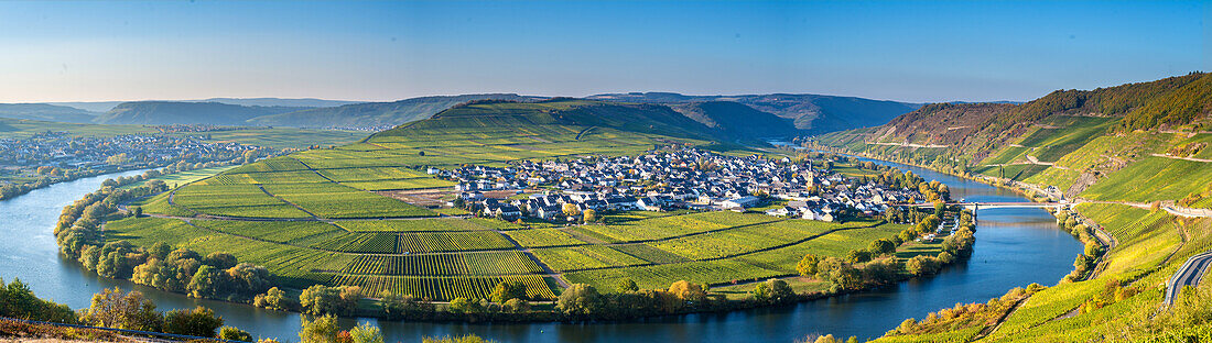 View of Trittenheim and the Moselle loop in the evening light, Rhineland-Palatinate, Germany