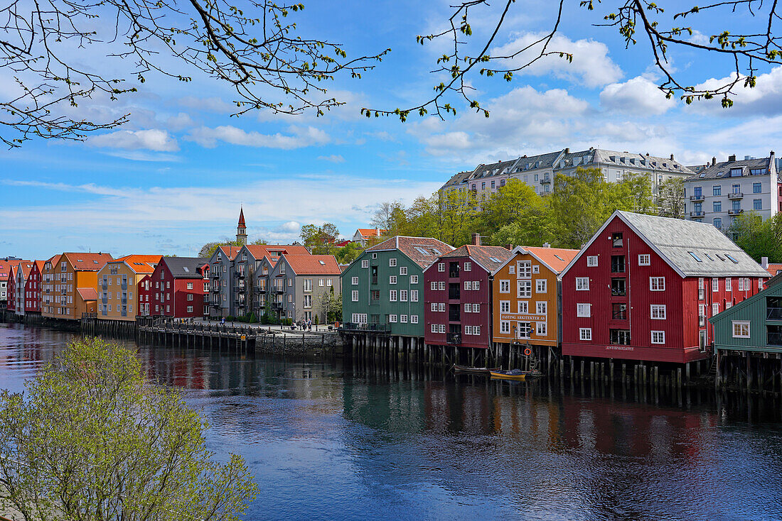 Norwegen, Provinz Trøndelag, Trondheim, Blick auf den Fluss Nidelva mit bunten Holzhäusern