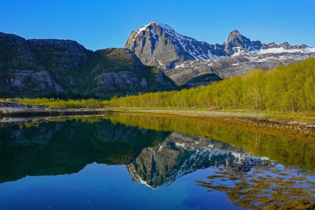 Norwegen, Nordland, Landschaft am Litlfjord bei Jektvika