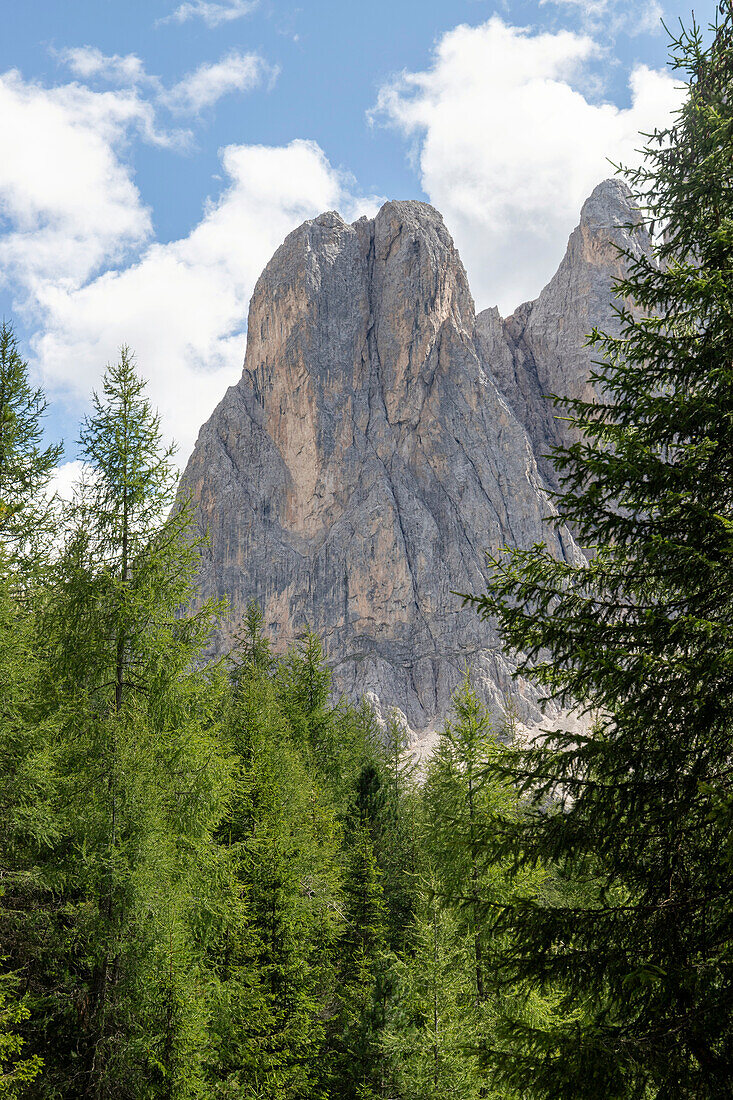 Natural Park Puez-Odle, Val di Funes, Südtirol, Bolzano district, Italy