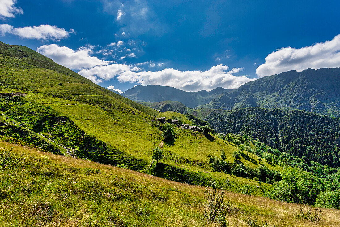The bucolic landscape of Val Mastellone in summer, Rimella, Valsesia, Vercelli district, Piedmont, Italy.