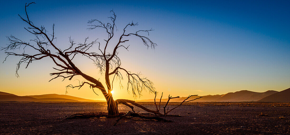 Farben der Wüste; Namibia, Namib Naukluft National Park