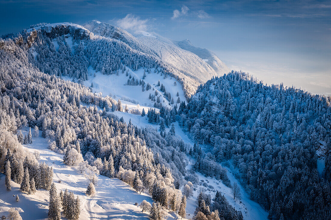 winter magic; Switzerland, Canton Solothurn, Grencherberg