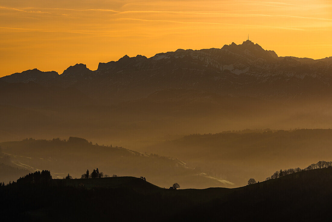 View of the Alpstein in the morning haze; Switzerland, Canton of Zurich, Schnebelhorn