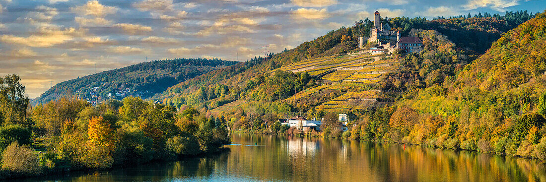 View over the Neckar to Hornberg Castle, seat of the infamous Götz von Berlichingen, Baden-Württemberg, Germany