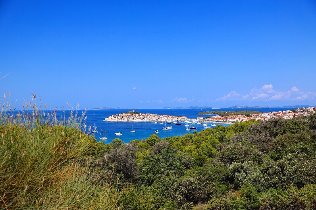 Blick auf die Halbinsel Primosten, Dalmatien, Kroatien