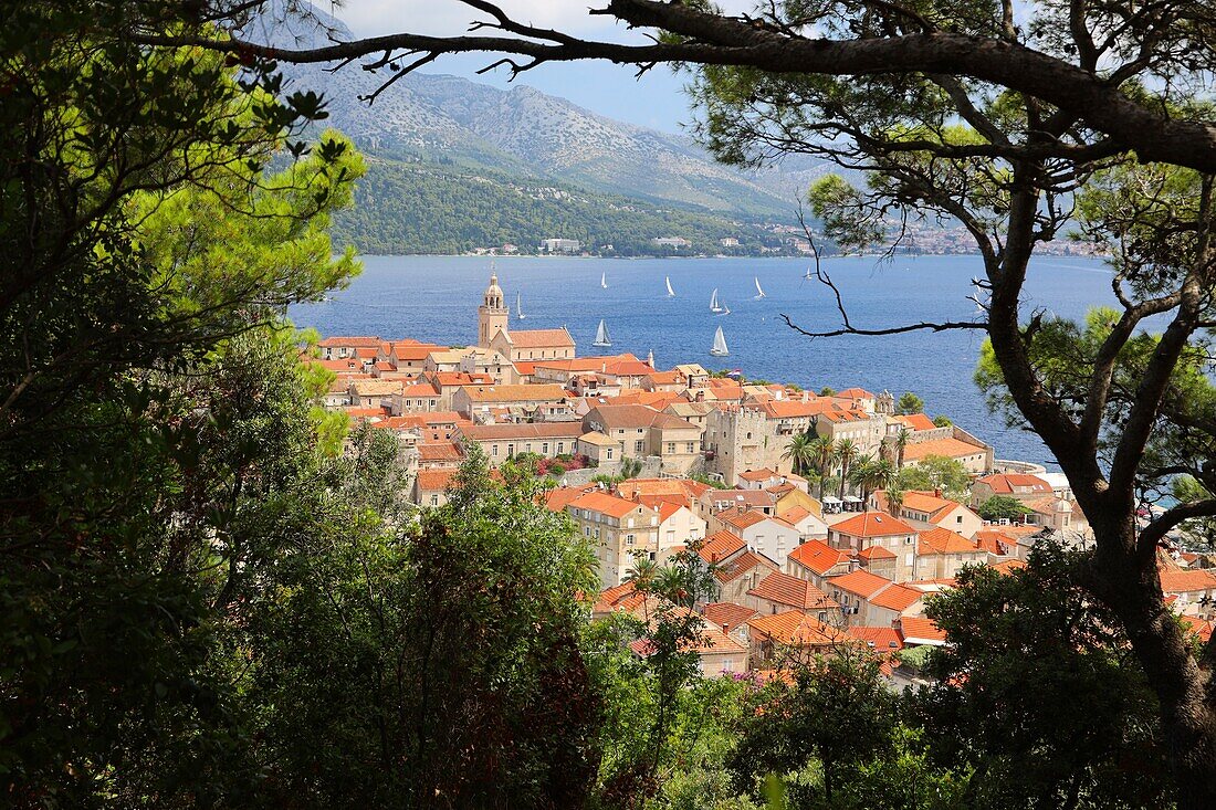 Blick auf die Altstadt von Korcula, Insel Korcula,Dalmatien,  Kroatien