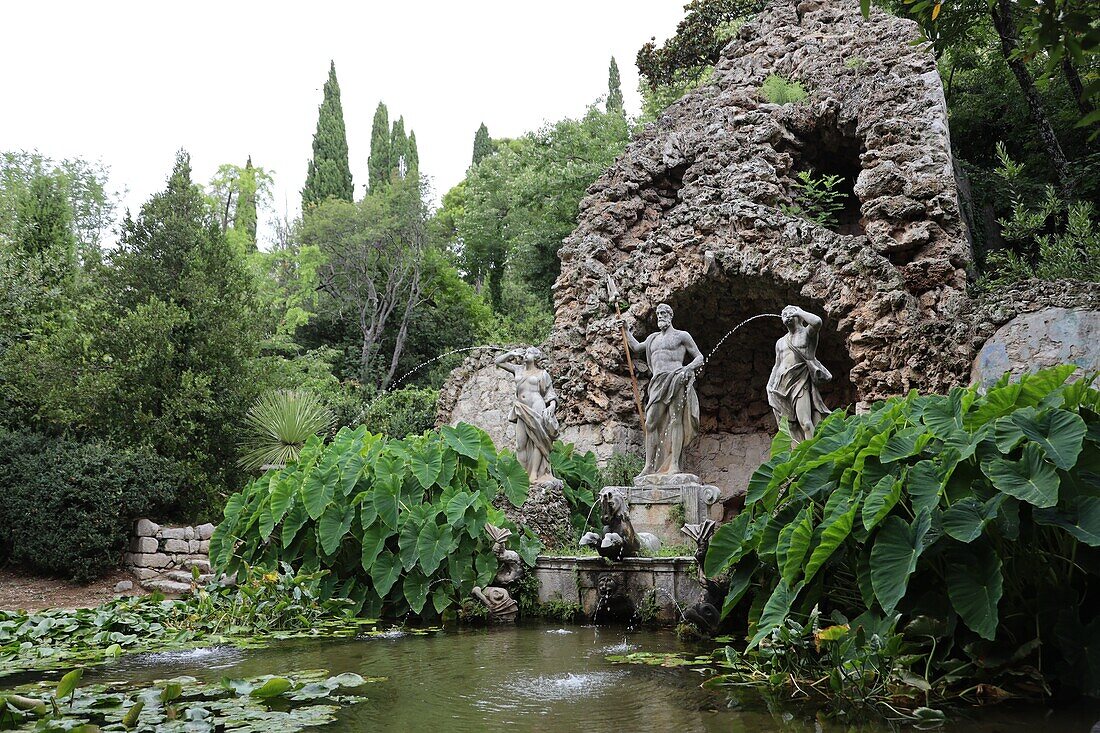 Arboretum of Trsteno, Dalmatia, Croatia
