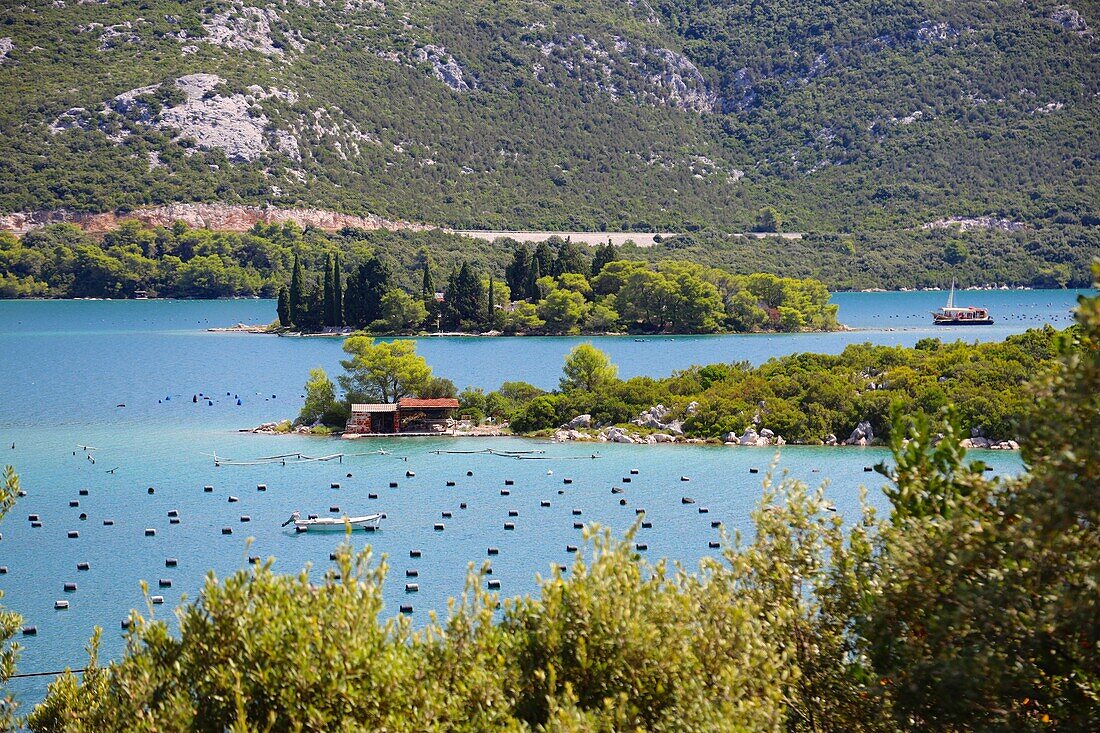 Muschelzucht in Ston, Dalmatien, Kroatien