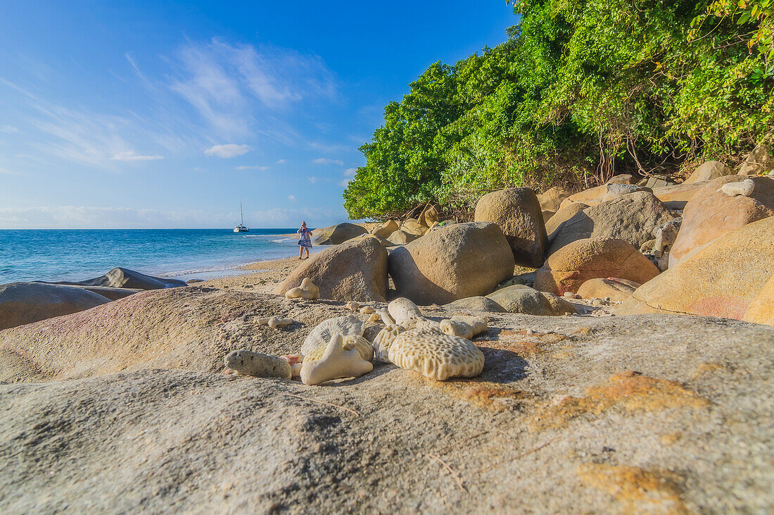 Strandabschnitt auf der Insel Fitzroy, Queensland, Australien