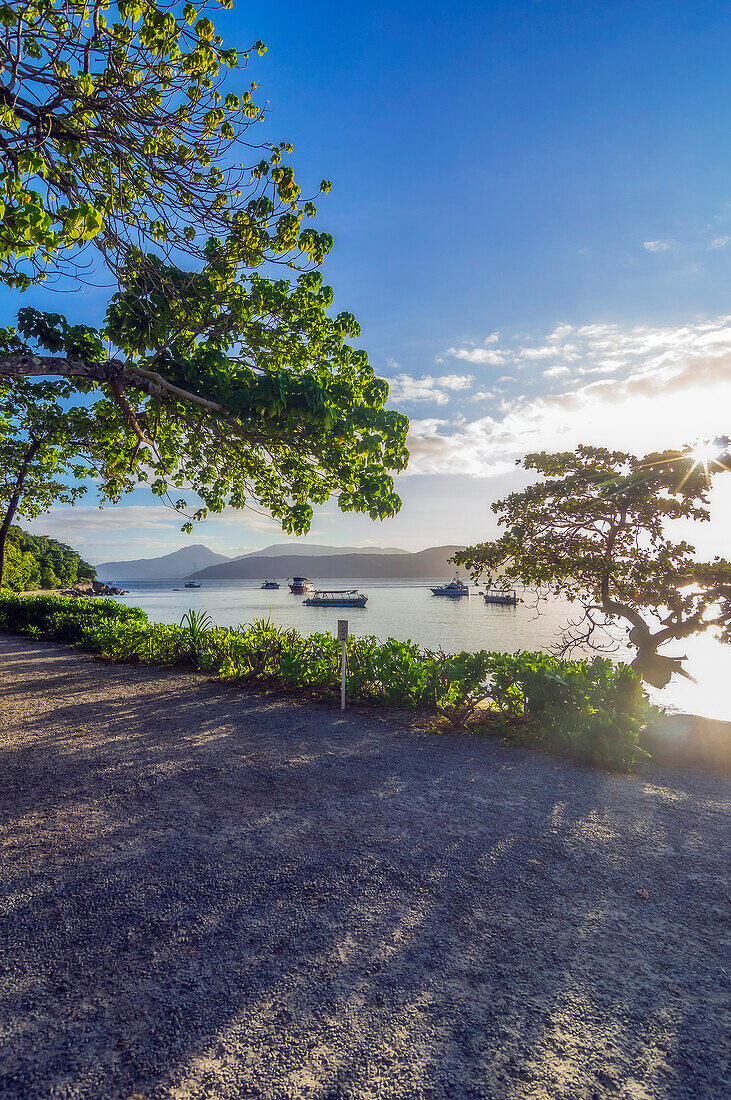 Section of beach on Fitzroy Island, Queensland, Australia