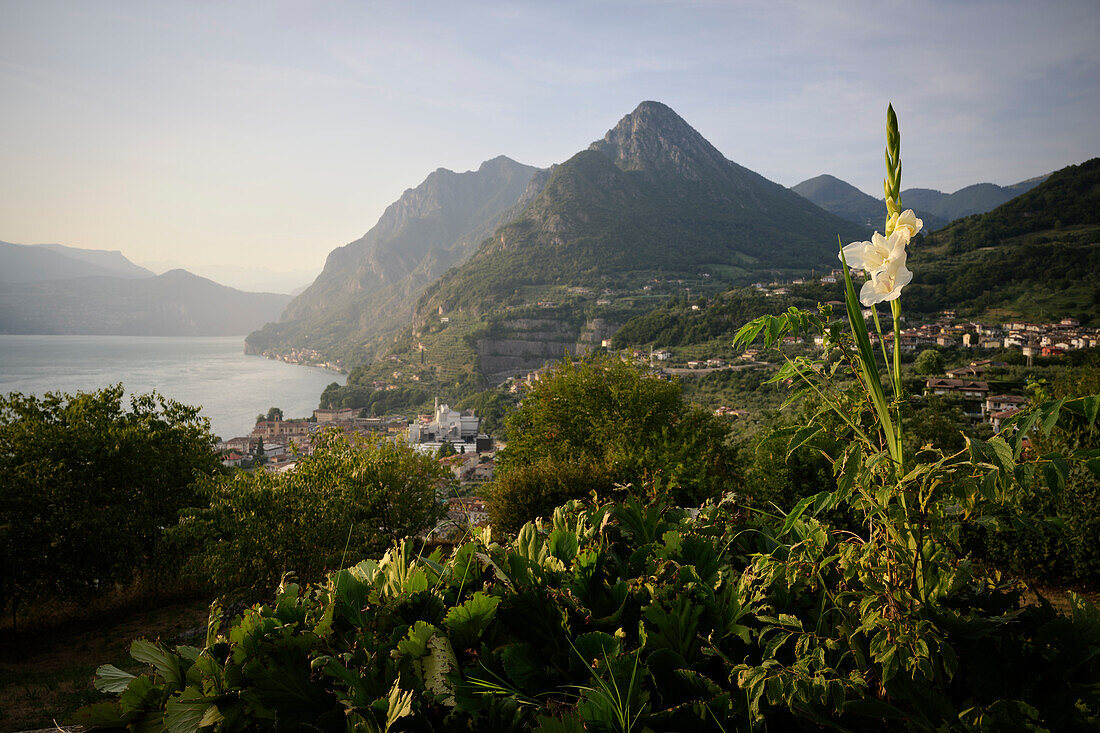 Blick von Vesto auf Marone, Iseosee (Lago d'Iseo, auch Sebino), Brescia und Bergamo, Oberitalienische Seen, Lombardei, Italien, Europa