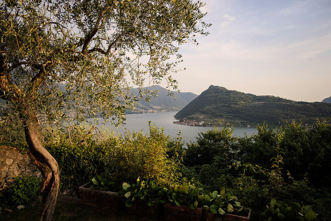 View of the island &quot;Monte Isola&quot; in Lake Iseo (Lago d'Iseo, also Sebino), Vesto, Brescia and Bergamo, Northern Italian Lakes, Lombardy, Italy, Europe