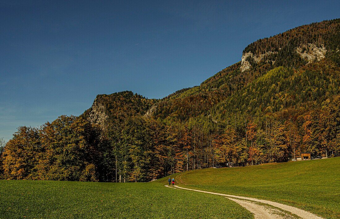 Wanderndes Paar auf einem Wanderweg in der Herbstlandschaft bei St. Wolfgang, Salzkammergut, Österreich