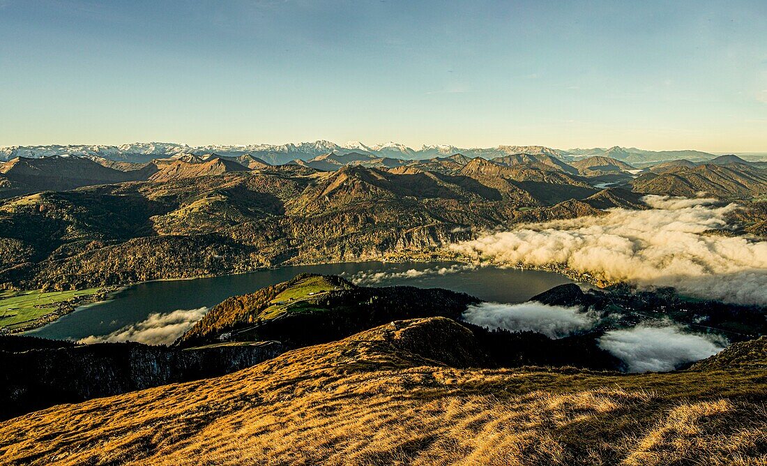 Blick am Morgen vom Schafberg über die Almregion, auf den Wolfgangsee, die Berge des Salzkammerguts und das Dachsteingebirge, Österreich