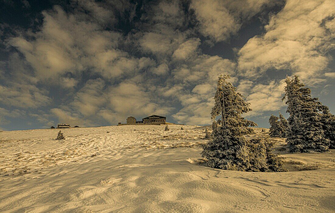 Schafberg in winter, in the background the Hotel Schafbergspitze and the Restaurant Himmelspforte, Salzkammergut, Austria