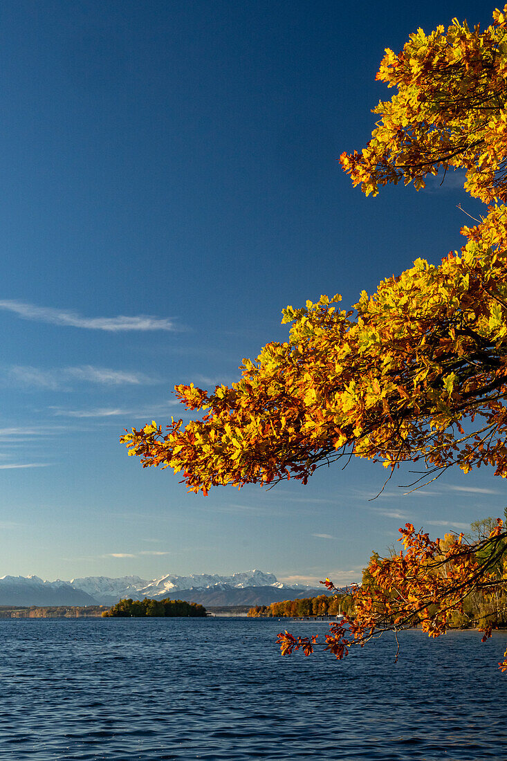 Autumn morning at Lake Starnberg